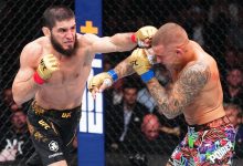 Photo of Бокс и мма: борьба и техника