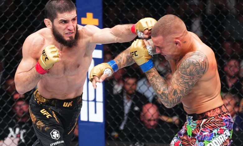 Photo of Бокс и мма: борьба и техника