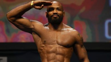 Photo of Бойцы без правил: что нужно знать?