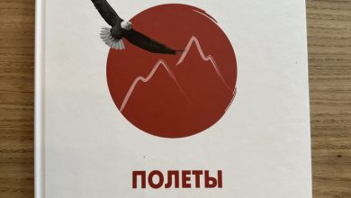 Photo of «Фристайл на планерах: красота и техника в полете»