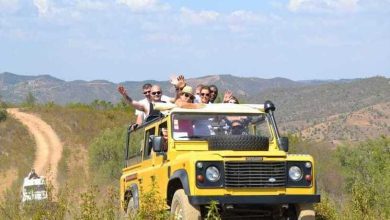 Photo of «Экстремальное серфинг-сафари»